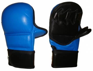 MMA Gloves