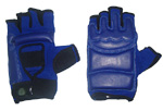 MMA Gloves